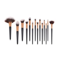 Professional Cosmetic Brush Set 14PCS, with 2 Fan Brushes